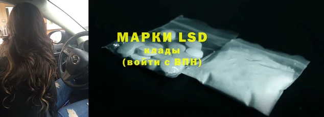 a pvp Алзамай