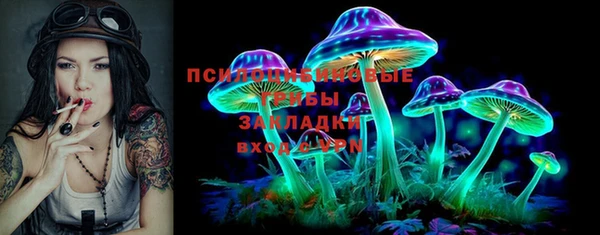соль ск Алексеевка