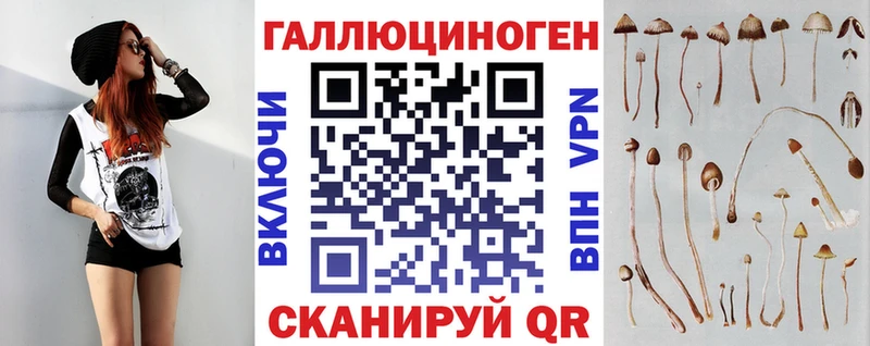 Галлюциногенные грибы Psilocybe  нарко площадка формула  Жирновск  цена  