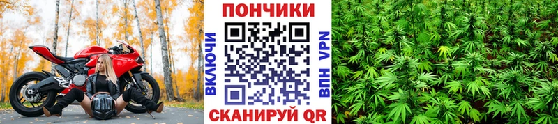 OMG маркетплейс купить закладку Жирновск МАРИХУАНА White Widow